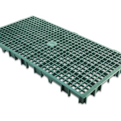 Piso 25x50